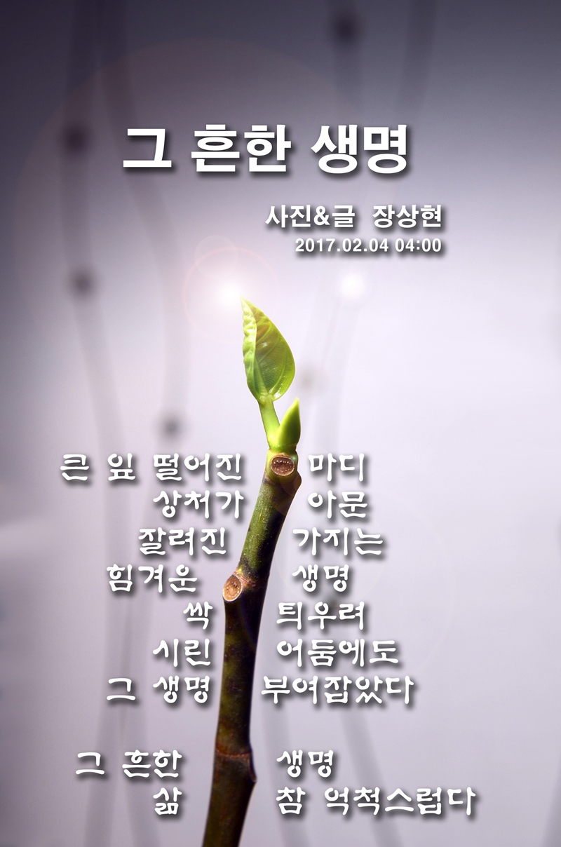그흔한생명