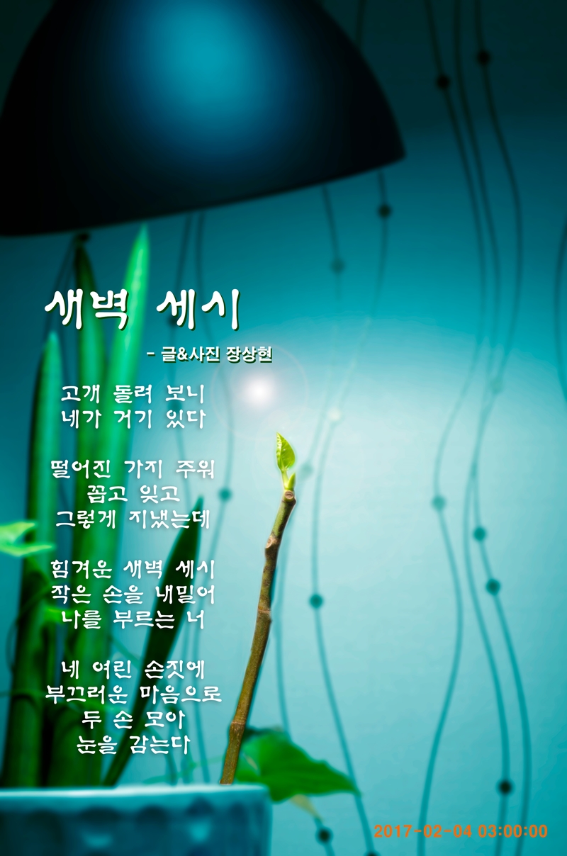 새벽세시