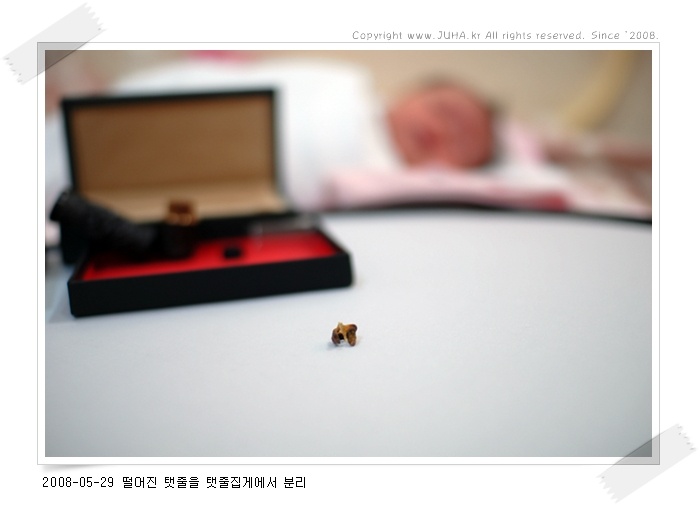 분리 완료